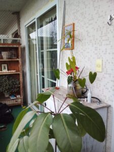 foto 31